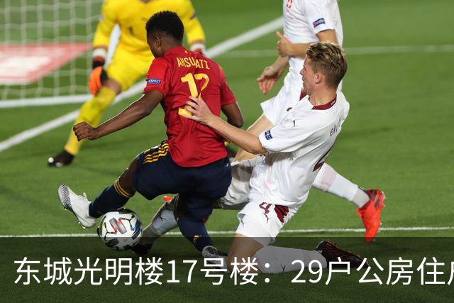 东城光明楼17号楼：29户公房住户凑钱把楼拆了重建