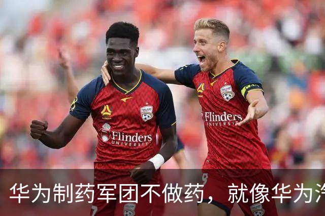 华为制药军团不做药，就像华为汽车军团不造车