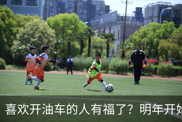 喜欢开油车的人有福了？明年开始，油车或将成为更多家庭的首选