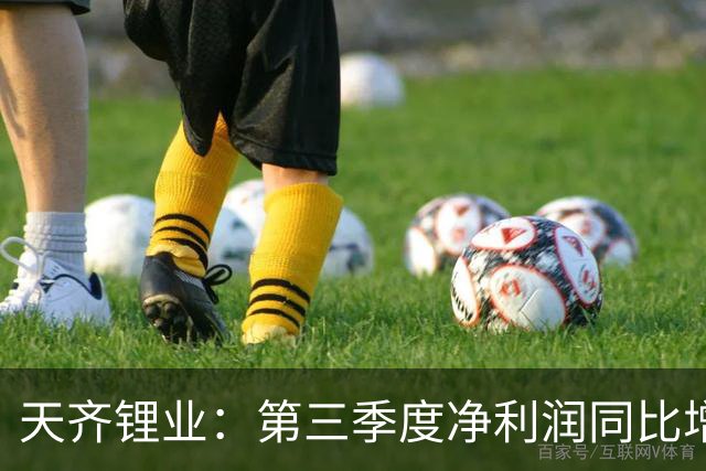 天齐锂业：第三季度净利润同比增长1324% 环比下降42%