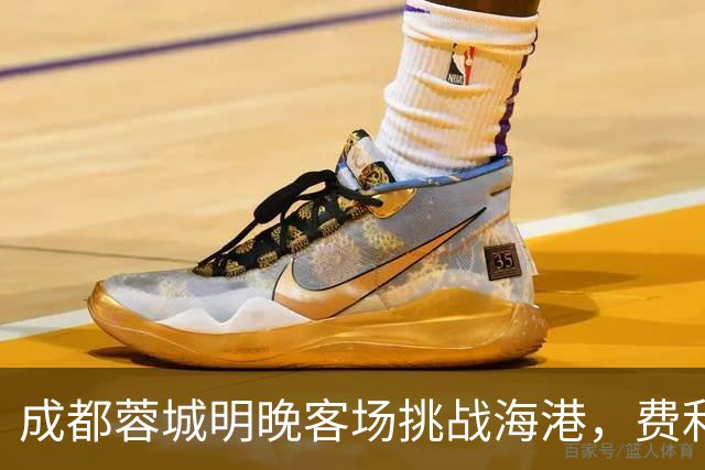 成都蓉城明晚客场挑战海港，费利佩复出：现在说什么不重要，关键是决心和表现