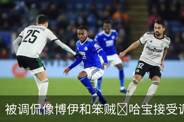 被调侃像博伊和笨贼🤣哈宝接受调侃：一旦接受这个设定😂