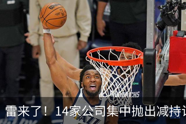 雷来了！14家公司集中抛出减持计划，有你的持仓吗？