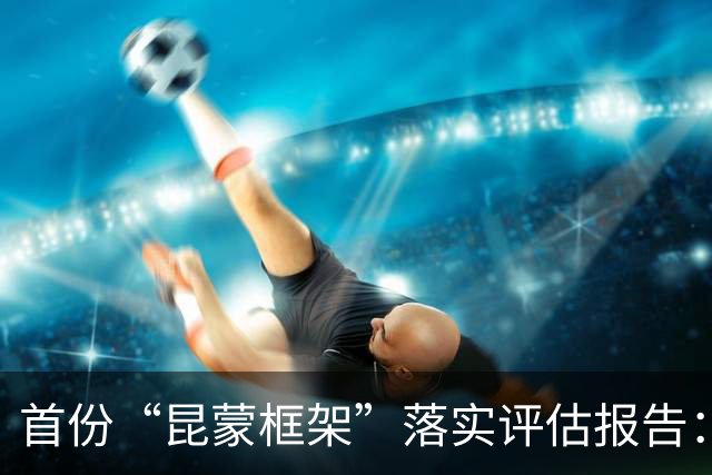 首份“昆蒙框架”落实评估报告：目标进展普遍滞后