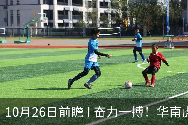 10月26日前瞻 I 奋力一搏！华南虎客战大鲨鱼