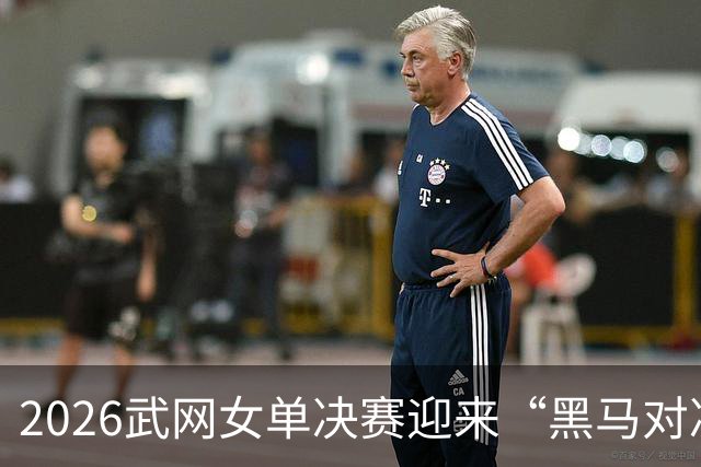 2026武网女单决赛迎来“黑马对决”，斯瓦泰克波兰德比落败，赫瓦林斯卡将与卡塔尔争冠